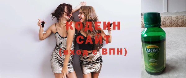 дмт Богородицк