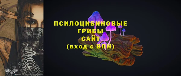 дмт Богородицк