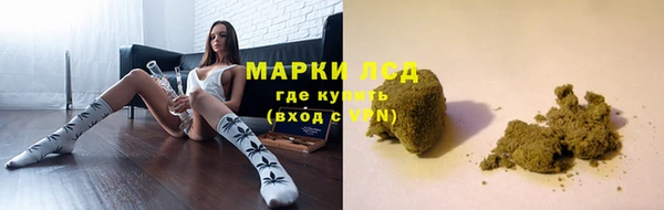 стаф Бугульма
