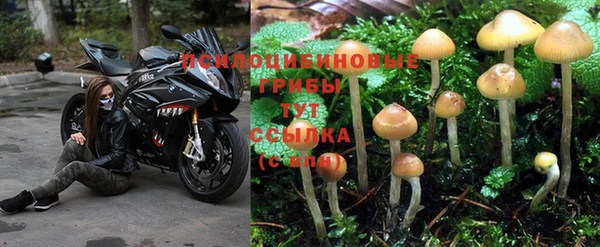 каннабис Бородино