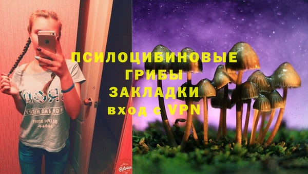таблы Богданович