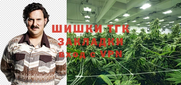 дмт Богородицк