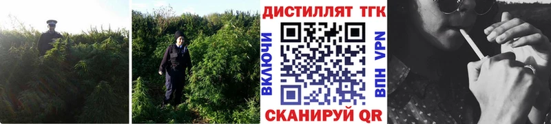 Дистиллят ТГК вейп  Грозный 