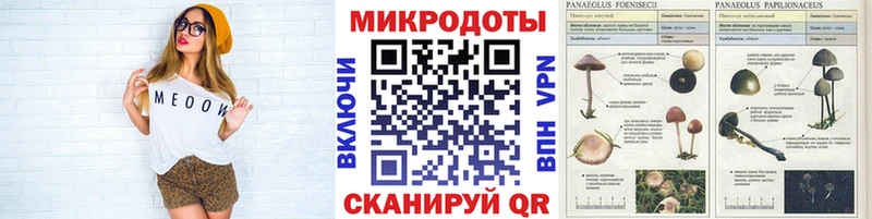 Галлюциногенные грибы мицелий  где можно купить наркотик  Грозный 